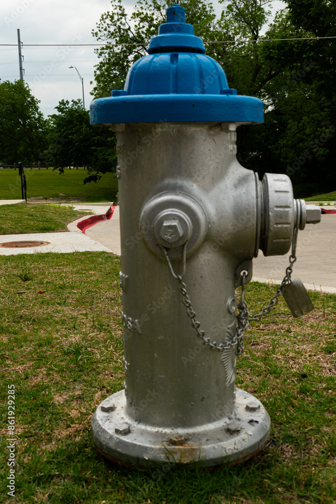 A fire hydrant with a blue top. A fire hydrant with a blue top.