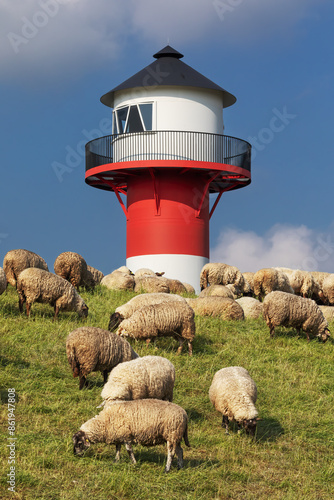 Schafe auf dem Deich der Elbe bei Borstel (Jork, Altes Land) in Niedersachsen. Im Hintergrund ein Leuchtturm, das Unterfeuer Somfletherwisch. photo