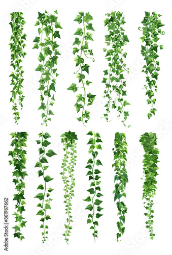 Green liana cartoon vector set. Grape shoots stems leaves climbing plants ivy isolated on white background