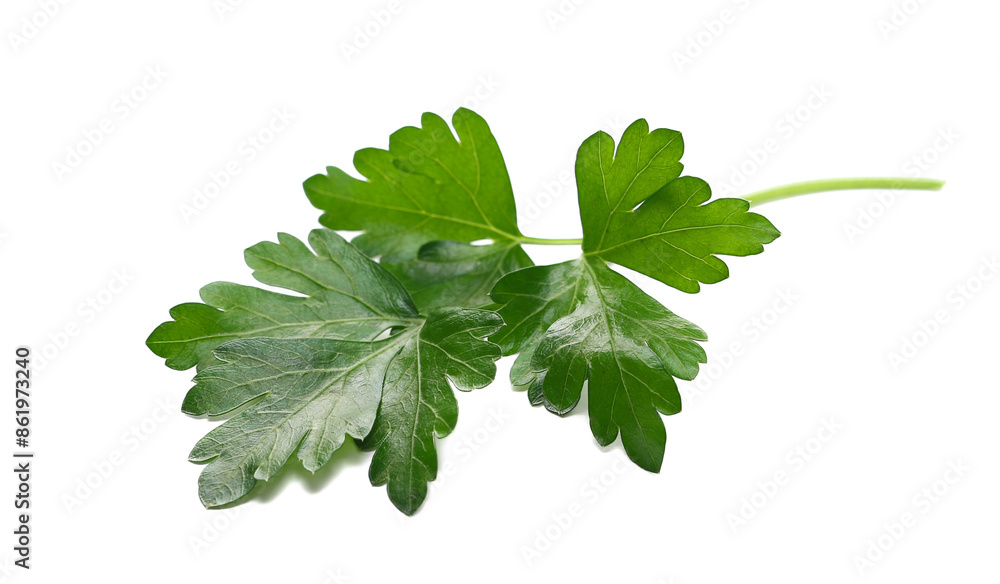 Fresh green celery pile isolated on white background
Fresh green celery pile isolated on white background