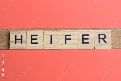 text the word heifer from gray wooden small letters with black font on an red table