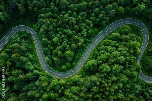 Aerial view of a winding road through dense green forest, scenic and tranquil nature landscape 