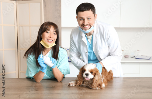 Veterinarians with pill bot...