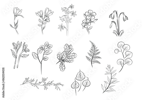 vector of florals outlines collection