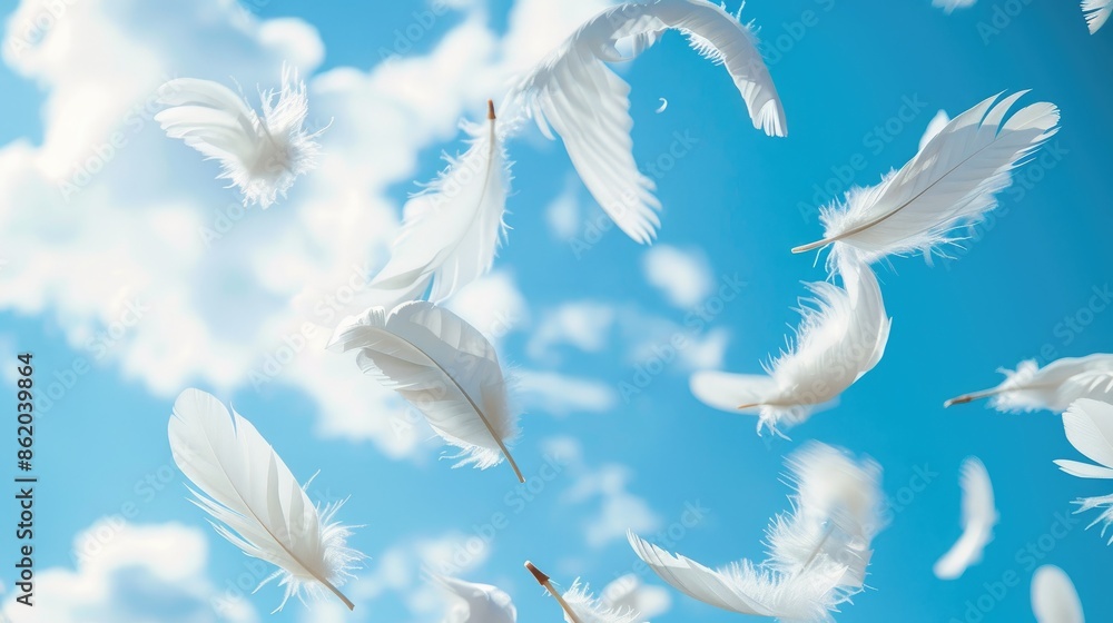White feathers abstractly descending against blue sky White feathers abstractly descending against blue sky