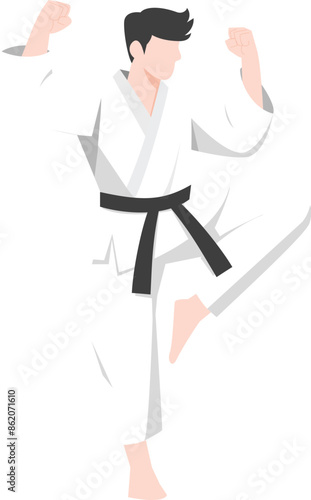 karate kung fu master Vector. karate moves illustration