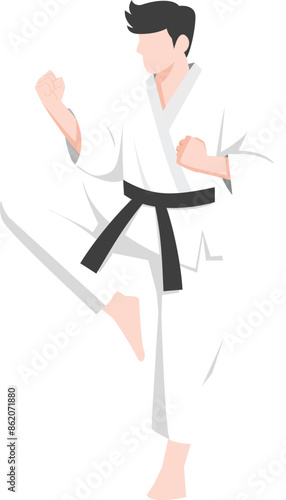 karate kung fu master Vector. karate moves illustration