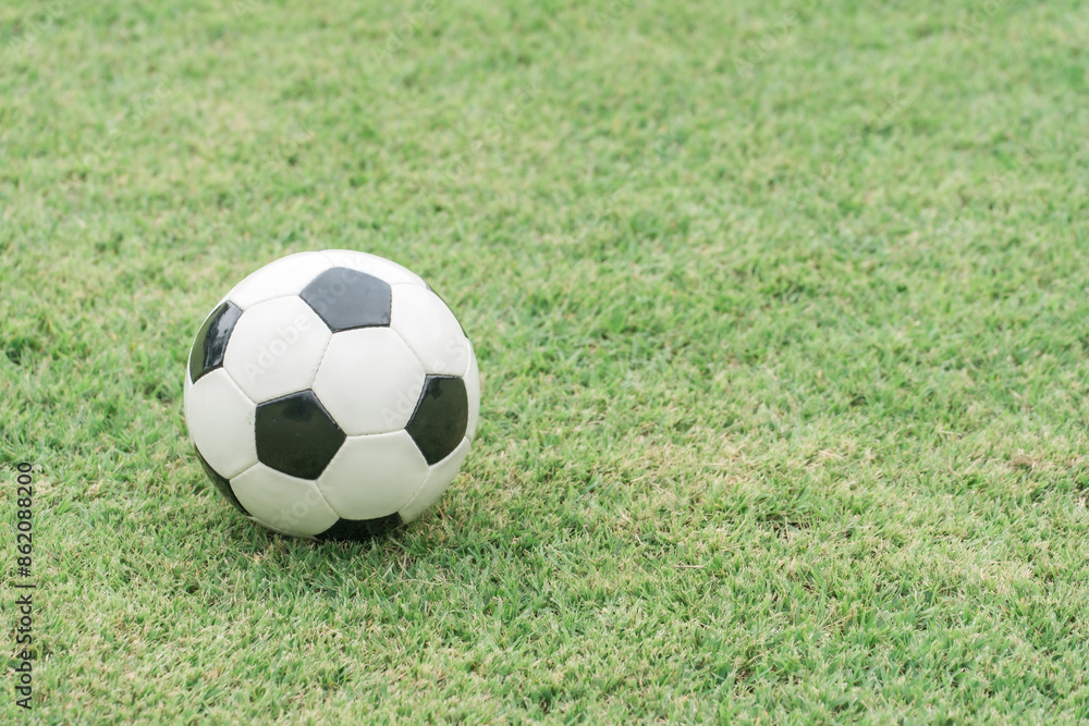 芝生とサッカーボール(サッカー場・ワールドカップ・部活・フットサル)
芝生とサッカーボール(サッカー場・ワールドカップ・部活・フットサル)