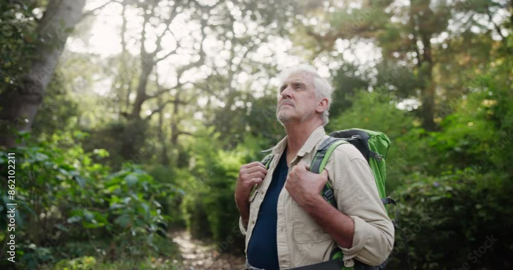 Senior, walking or man hiking in nature on adventure to explore on holiday vacation, trail or path. Wellness, trees or male hiker trekking in woods outdoors for travel journey or health in forest Senior, walking or man hiking in nature on adventure to explore on holiday vacation, trail or path. Wellness, trees or male hiker trekking in woods outdoors for travel journey or health in forest