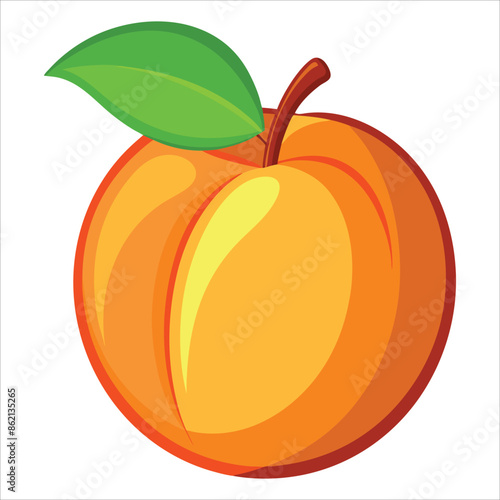 apricot vector, vibrant and healthy fruit designs