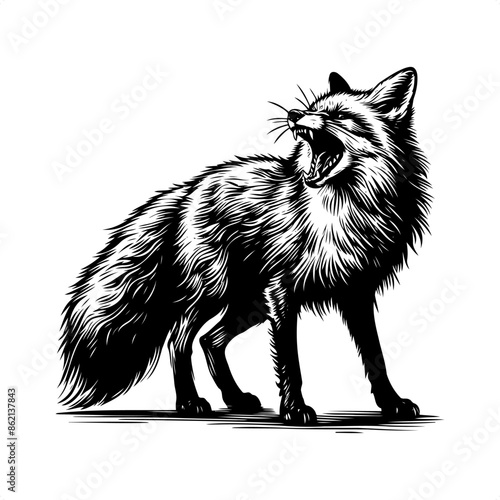 fox in black and white animal drawing,