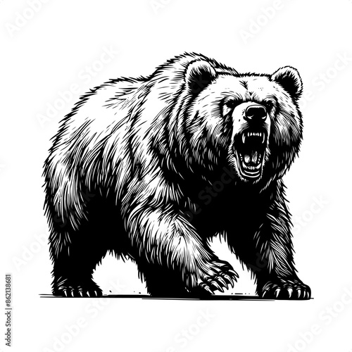 grizzly bear in black and white animal drawing,
