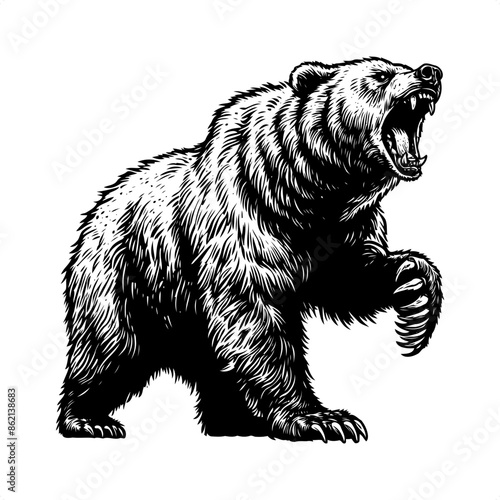 grizzly bear in black and white animal drawing,