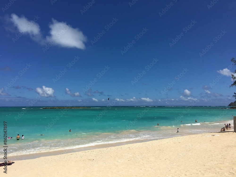 Fototapeta premium Hawaii