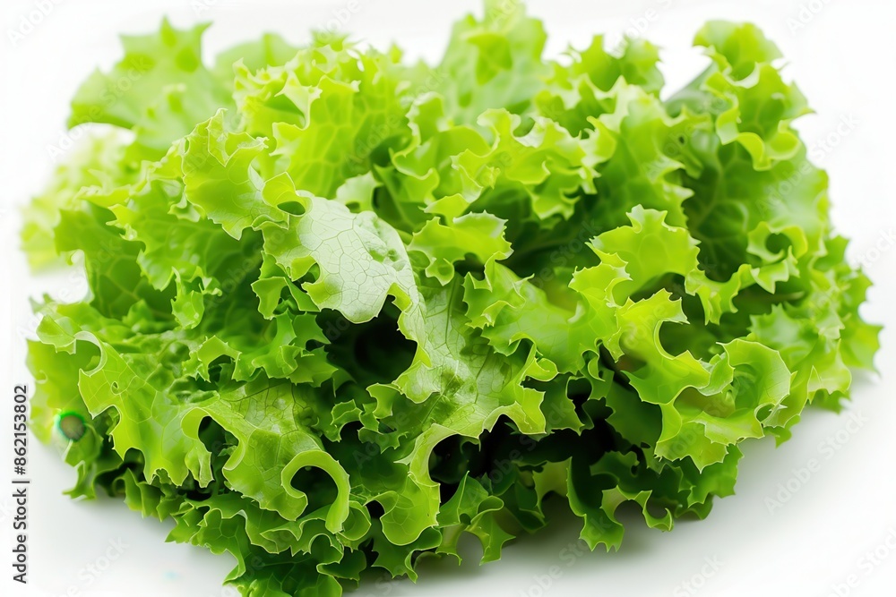 a head of lettuce, farm fresh produce, crisp green leaves, isolated on white background a head of lettuce, farm fresh produce, crisp green leaves, isolated on white background