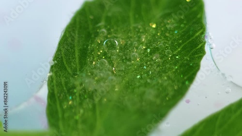 Leaf gel. Glowing bubble. Defocused green foliage sticky oil foam texture herbal cosmetic hydrating fluid bokeh light abstract background.