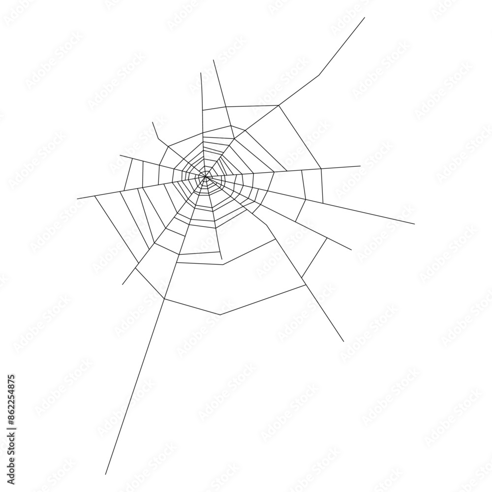 Hand drawn spider web illustration on white background Hand drawn spider web illustration on white background