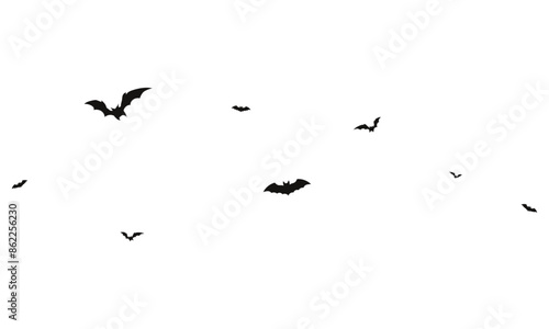 Bats silhouettes on white background. Halloween traditional design element