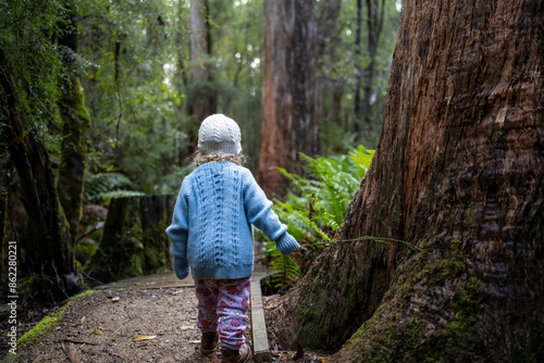 toddler hiking in the forest in winter wearing a beanie, walking on a trail in the australian bush. child exploring in nature and studying the environment and learning 