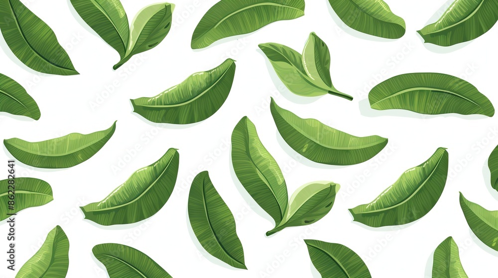 Botanical tropical leaves seamless pattern on white isolated background. Vector green bananas leaves cartoon flat style. For wallpaper, wrapping paper, seasonal decor. Botanical tropical leaves seamless pattern on white isolated background. Vector green bananas leaves cartoon flat style. For wallpaper, wrapping paper, seasonal decor.