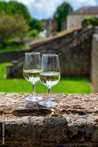 Glasses of white wine in old wine domain on Sauternes vineyards in Barsac village and old castle on background, Bordeaux, France photo