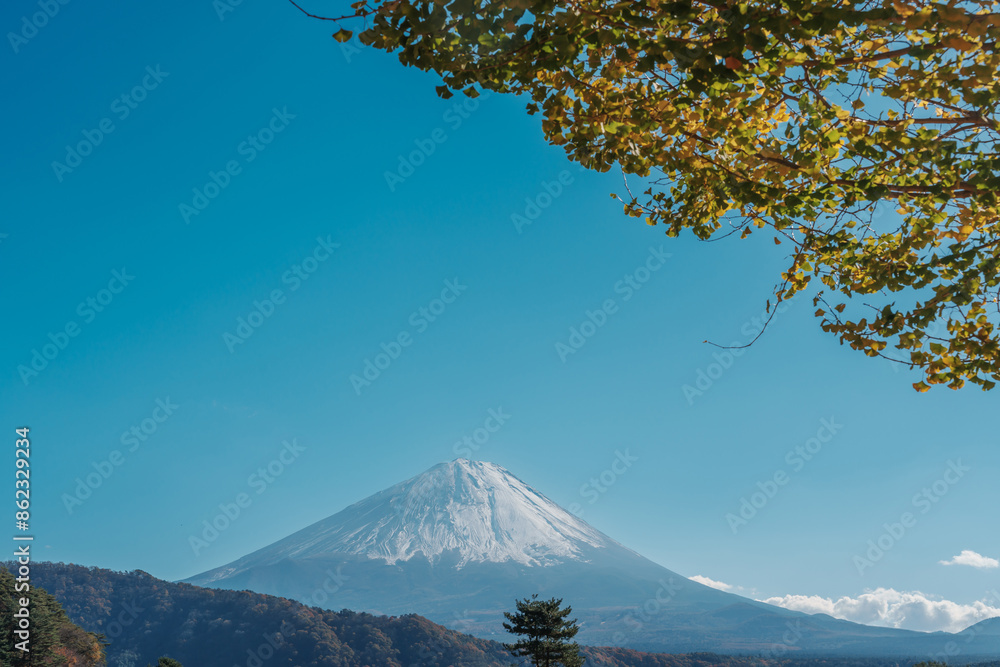 Fototapeta premium Mount Fuji view at Saiko Iyashino Sato Nenba in Autumn season. Mt Fujisan in Fujikawaguchiko, Yamanashi, Japan. Landmark for tourists attraction. Japan Travel, Destination, Vacation and Mount Fuji Day