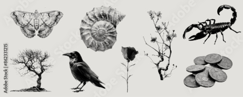 Trendy halftone effect elements set. Retro futuristic dotted vector collection