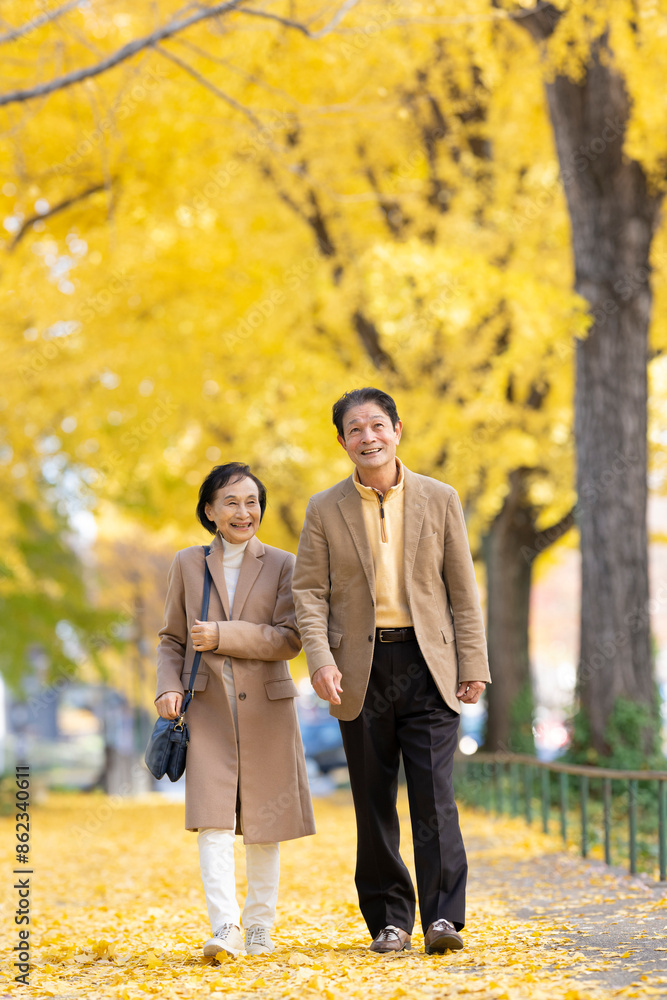 イチョウ並木を散歩するシニア夫婦 イチョウ並木を散歩するシニア夫婦