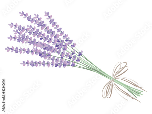 ナチュラルできれいなラベンダーの花束のイラスト