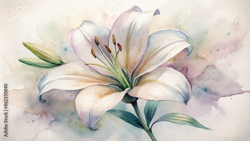 Minimalist watercolor background of blooming lilies