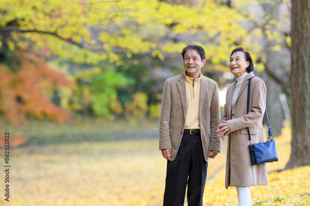 Naklejka premium 紅葉狩するシニア夫婦