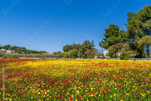 Locorotondo City landscape view in Italy