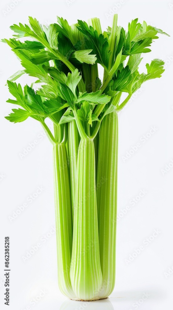 Fresh celery stalks on white background, studio shot. Healthy eating and nutrition concept Fresh celery stalks on white background, studio shot. Healthy eating and nutrition concept