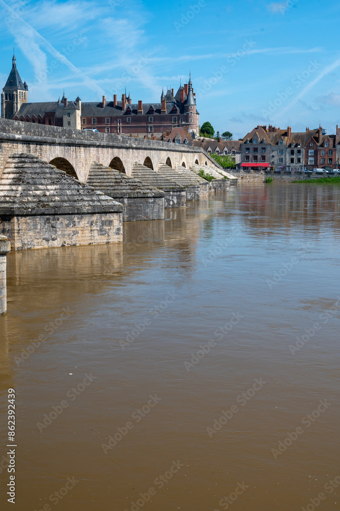 Fototapeta premium View.on old part of town of Gien on the Loire river, in Loiret department, France, houses with tiled roofs and chimneys, castle and bridge