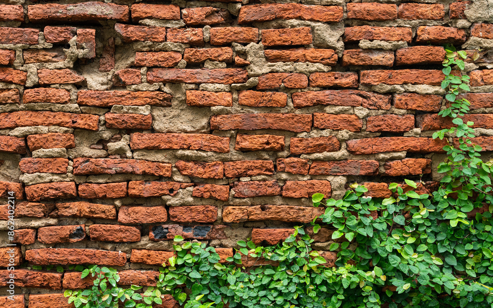Old texture brick wall background, detailed pattern covered in ivy. Old texture brick wall background, detailed pattern covered in ivy.