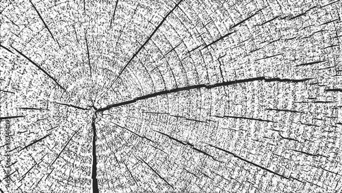 Obraz na płótnie Distressed wood overlay textured. Old grunge design element. Cross section tree rings cut slice. Black grainy texture on white background. Wooden horizontal banner. Vector illustration. EPS 10. w salonie