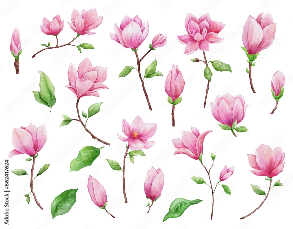 Watercolor magnolia set. Hand drawn pink flower with leaves for greeting cards, invitations. Botanical hand painted illustrations Watercolor magnolia set. Hand drawn pink flower with leaves for greeting cards, invitations. Botanical hand painted illustrations
