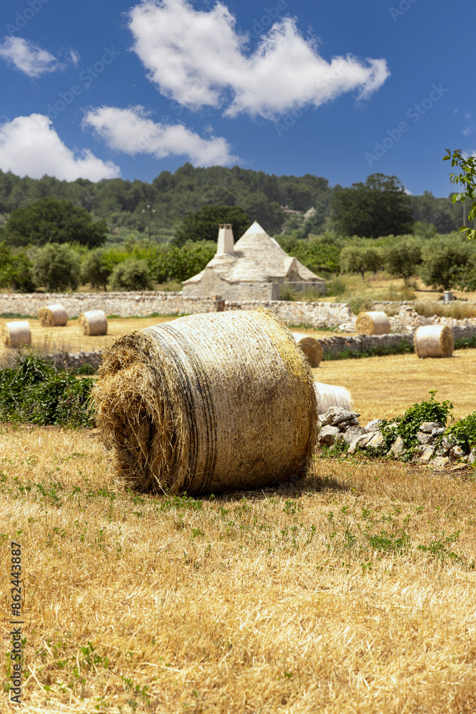 Picturesque view of the farm field after harvest, large straw bales and a trullo hut, Itria Valley (Valle d'Itria), Italy, Apulia