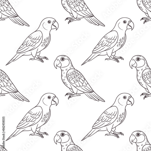 Seamless pattern, linear drawings of tropical parrots on a white background. Cute macaw birds. Design for textile, background, print © Tatiana