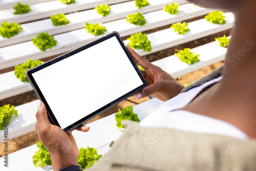 Holding tablet, farmer managing hydroponic vegetable farm and plant growth, copy space