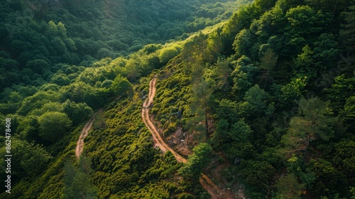 57. A view of a mountain path winding through a forest, showcasing the challenging and rewarding nature of outdoor exploration. © วิวัฒน์ อภิสิทธิ์ภิญ