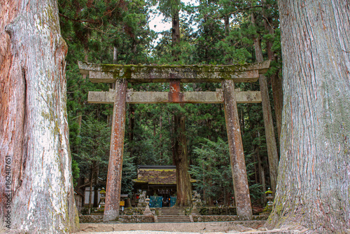 龍穴神社 - 奈良・室生
鳥居と大杉