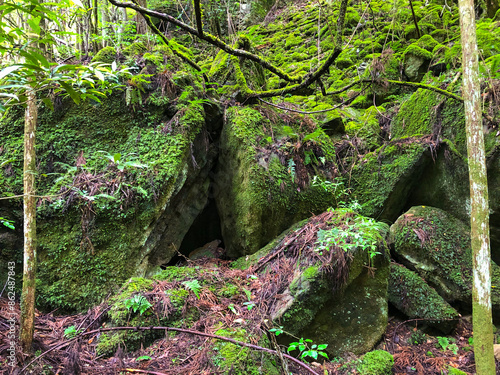 奈良・室生火山群
室生火山渓谷 苔むした石