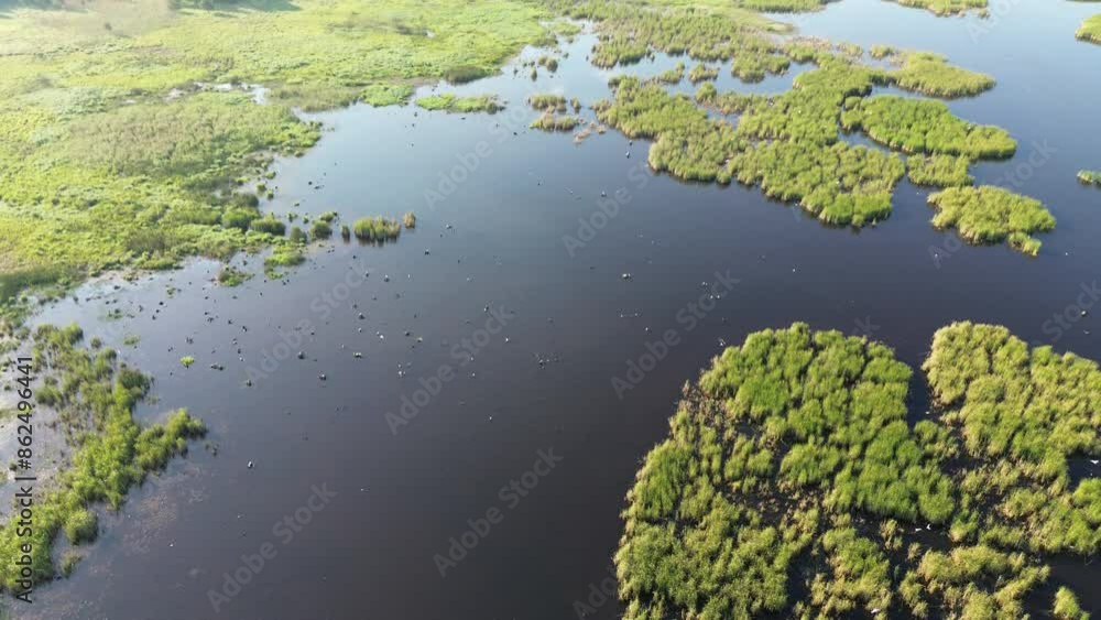 Aerial View of Blue Lake in the woods Aerial View of Blue Lake in the woods