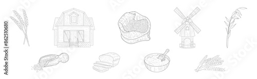 Wheat Grain Farm and Rural Crop Harvest Vector Set