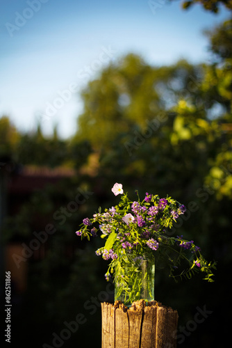 Bouquet of wild flowers in vase on nature background