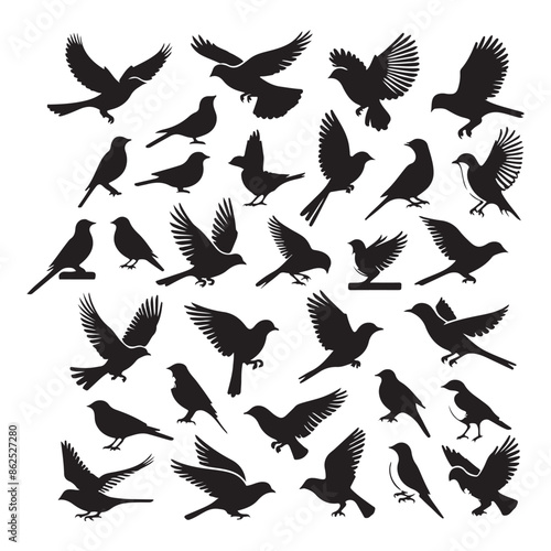 birds set silhouette style vector