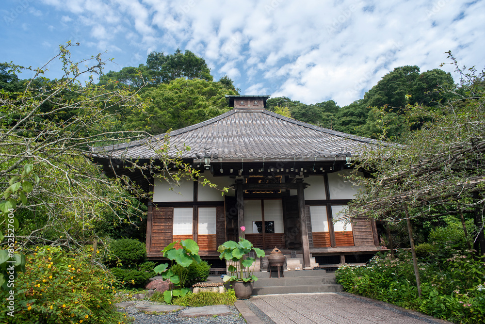 鎌倉246 光則寺34 鎌倉246 光則寺34