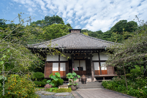 Plakat 鎌倉246 光則寺34