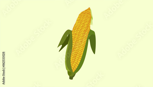 corn emblem, flat color illustration photo